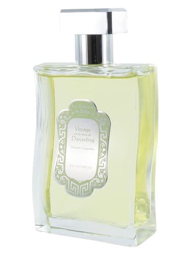 The Vert Gingembre