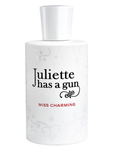 Miss Charming - خانم جذاب