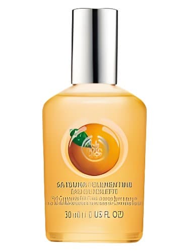Satsuma - ساتسوما