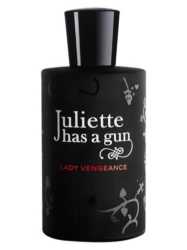 Lady Vengeance - بانوی انتقام