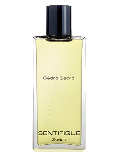Cedre Sacre - سدره مقدس