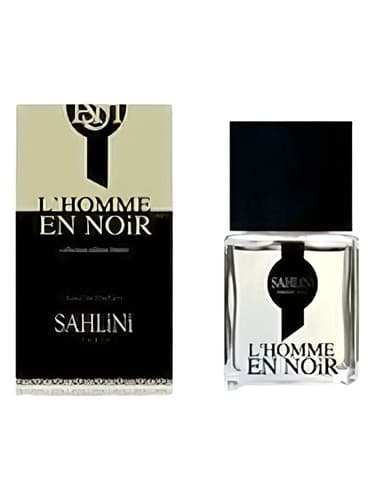 L'Homme en Noir 