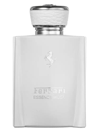 Essence Musk - اسانس مشک