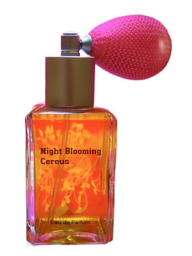 Night Blooming Cereus - سرئوس نایت شکوفه