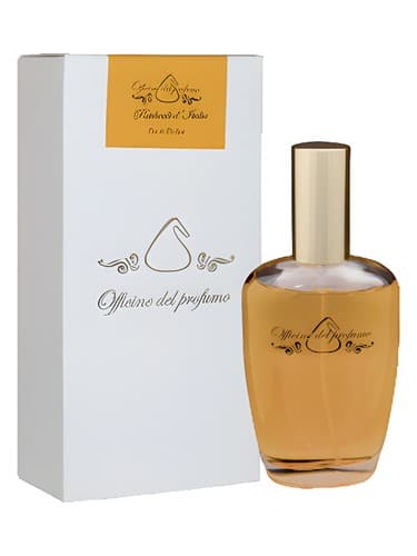 Patchouli d'Italia