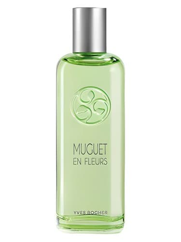Muguet En Fleurs