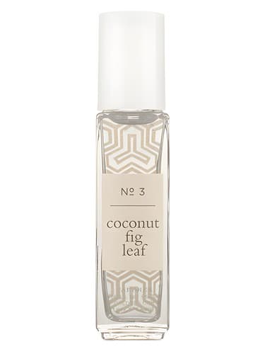 Coconut Fig Leaf - برگ انجیر نارگیل