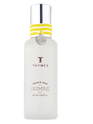 Temple Tree Jasmine