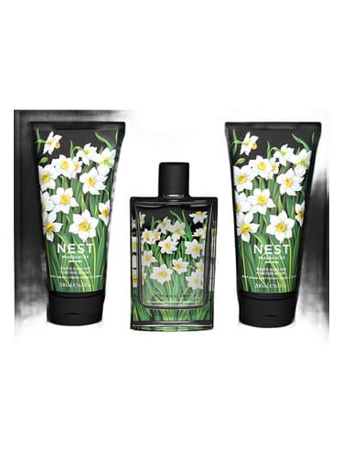 White Narcisse