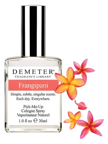 Frangipani