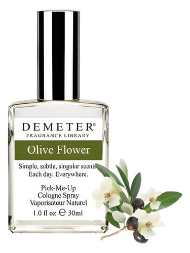 Olive Flower - گل زیتون