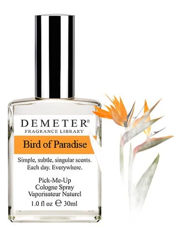 Bird of Paradise - پرنده بهشتی