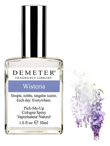 Wisteria - ویستریا