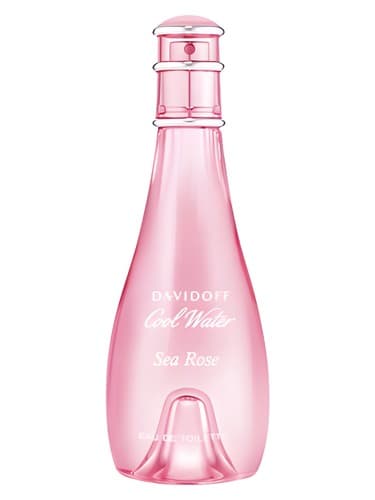Cool Water Sea Rose - رز دریای واتر خنک