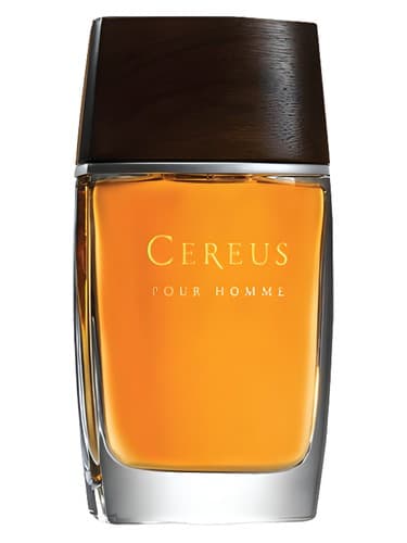Cereus No. 14