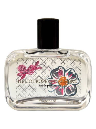 Héliotrope Gingembre - هلیوتروپ جینگبره