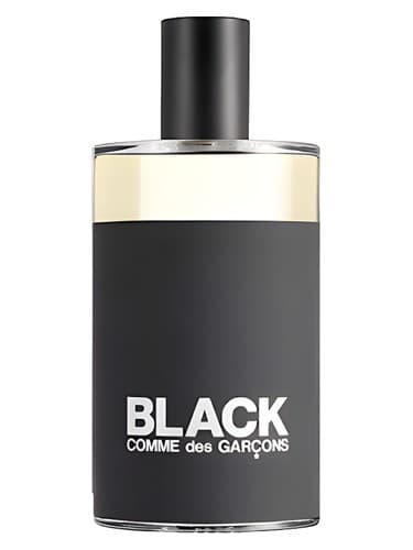 Black Eau de Toilette - ادو تویلت بلک