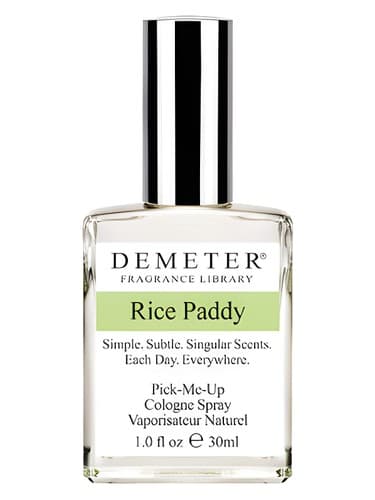 Rice Paddy