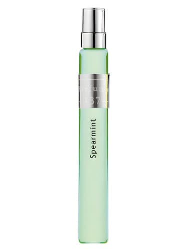 Spearmint - نعناع