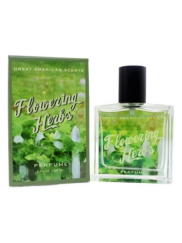 Flowering Herbs - گیاهان گلدار