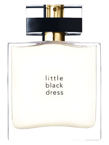 Little Black Dress - لباس بلک کوچولو