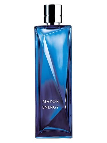 Mayor Energy - شهردار انرژی