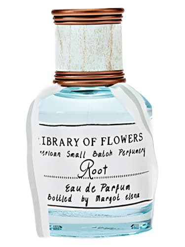 Root
