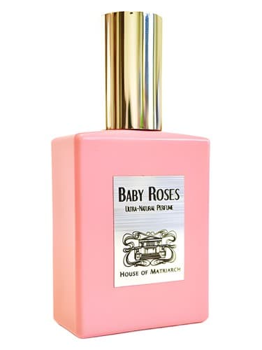 Baby Roses - بچه رز