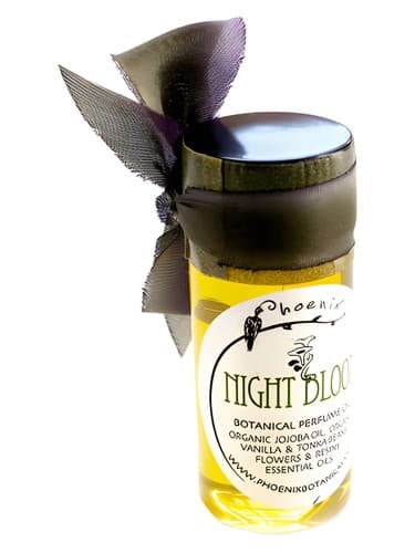 Night Bloom - نایت شکوفه