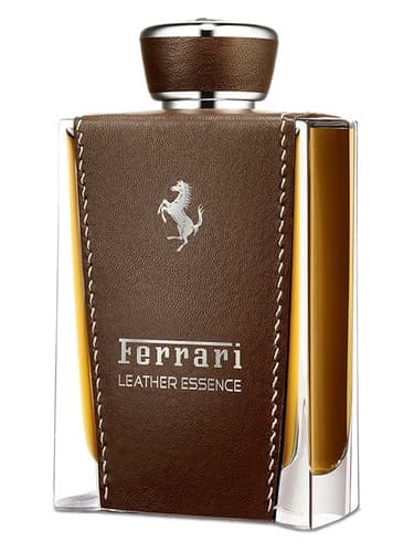 Leather Essence - اسانس چرم