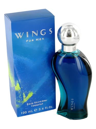Wings for Men - بال برای مردان
