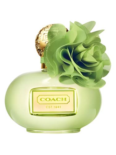 Coach Poppy Citrine Blossom - مربی پاپی سیترین بلواسوم