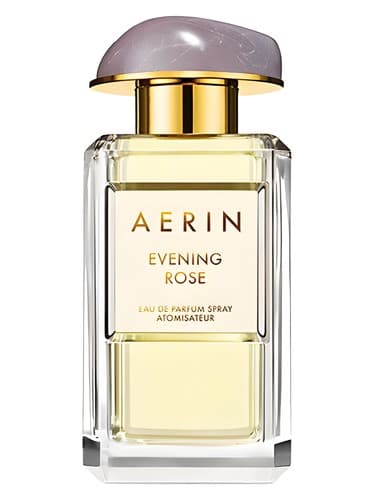 Evening Rose