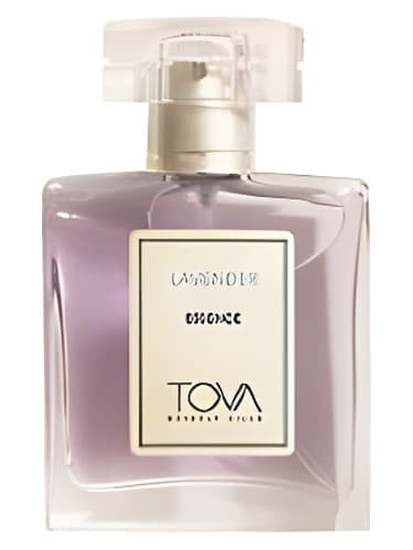 Tova Signature Lavender Essence - اسانس اسطوخودوس Signature Tova