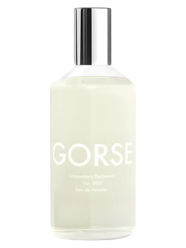 Gorse - گورس