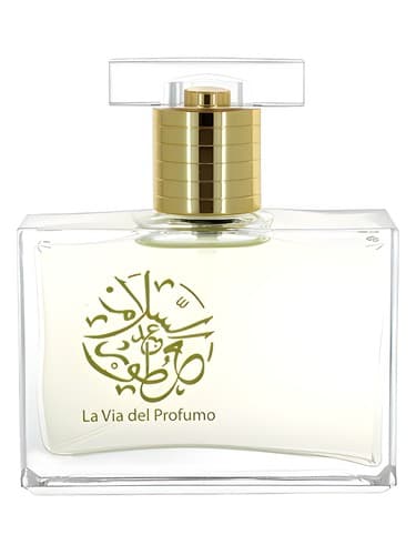 Holy Water - واتر مقدس