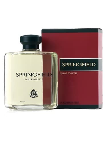 Springfield - اسپرینگفیلد