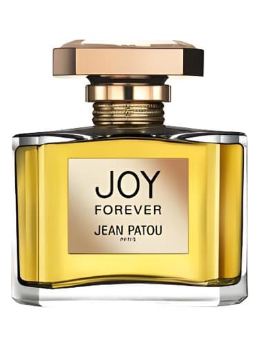 Joy Forever - شادی برای همیشه