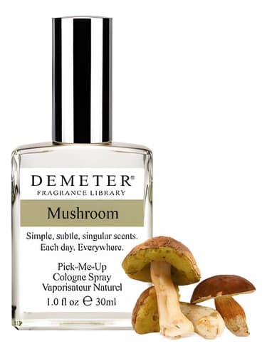 Mushroom - قارچ