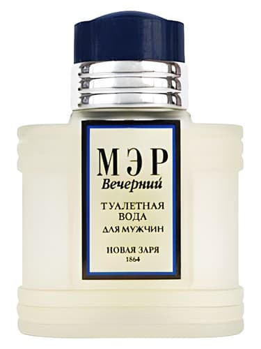 Мэр Вечерний (Mayor Night)