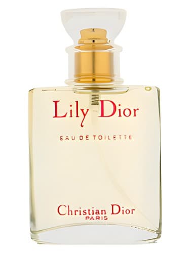 Lily - لیلی