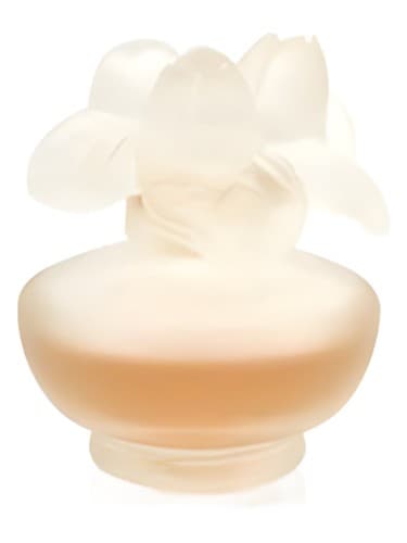 Rose Nuage - رز نواج