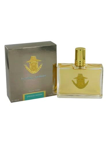 Precieuse Orchidee - ارکیده گرانبها
