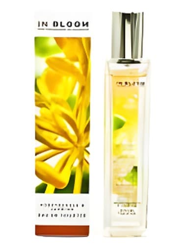 Jasmine and Honeysuckle - یاس و پیچ امین الدوله