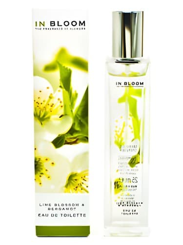 Lime Blossom and Bergamot - شکوفه آهک و ترنج