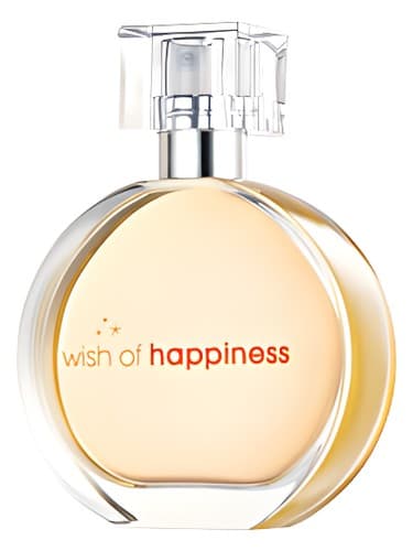 Wish of Happiness - آرزوی خوشبختی