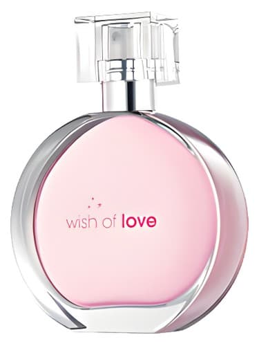 Wish of Love - آرزوی لاو