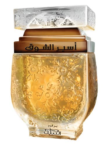 Aseer Al Shawq Bronze