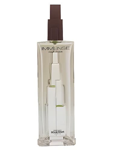 Immense Pour Homme