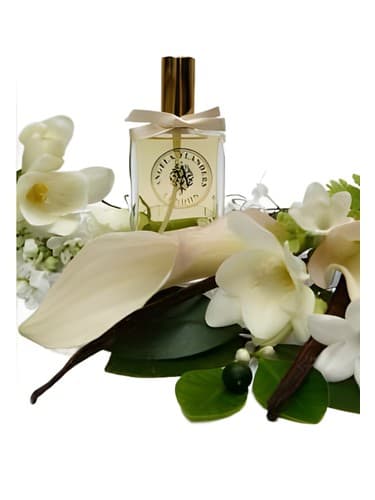 Bouquet d'Amour - دسته گل لاو